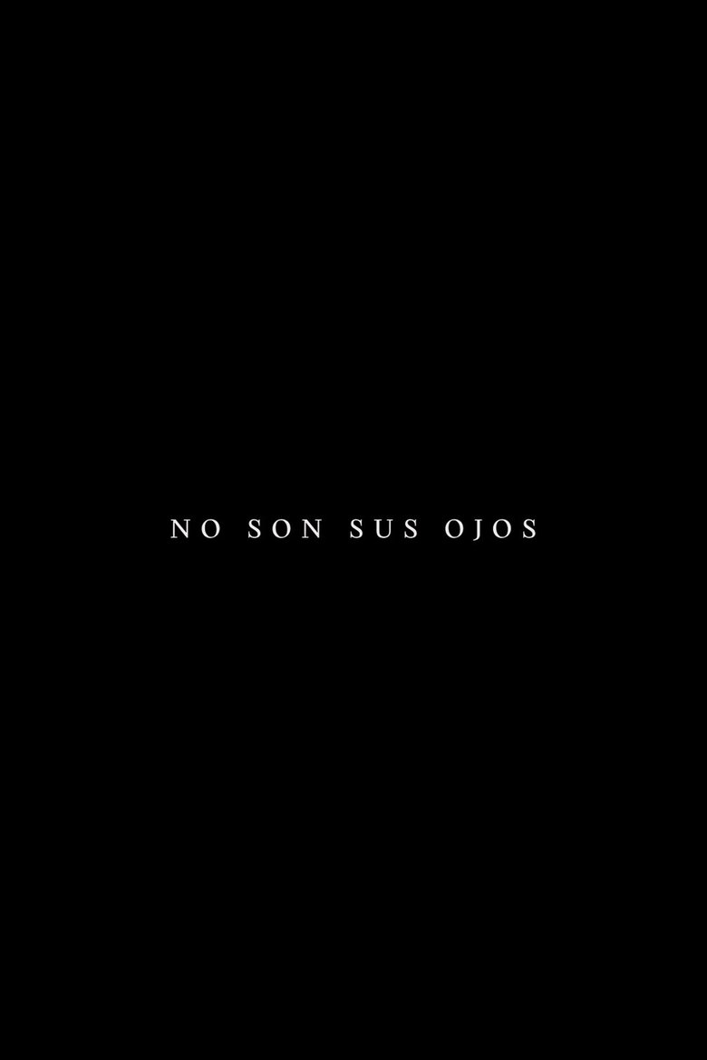 Poster of No son sus ojos