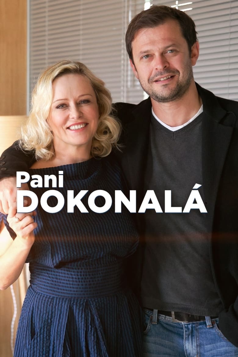 Poster of Pani Dokonalá