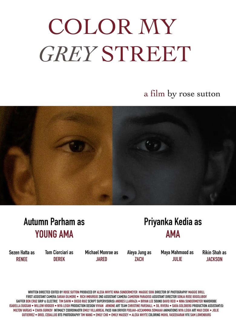 Poster of Color My Grey Street