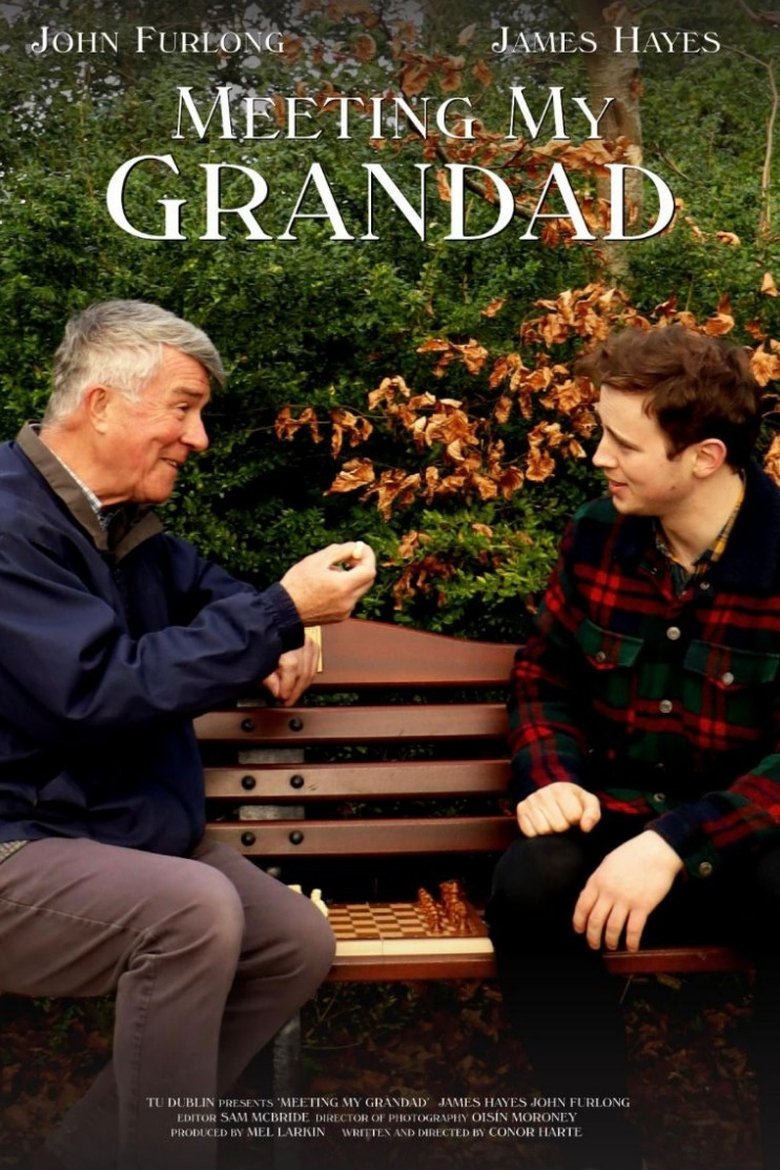 Poster of Meeting My Grandad