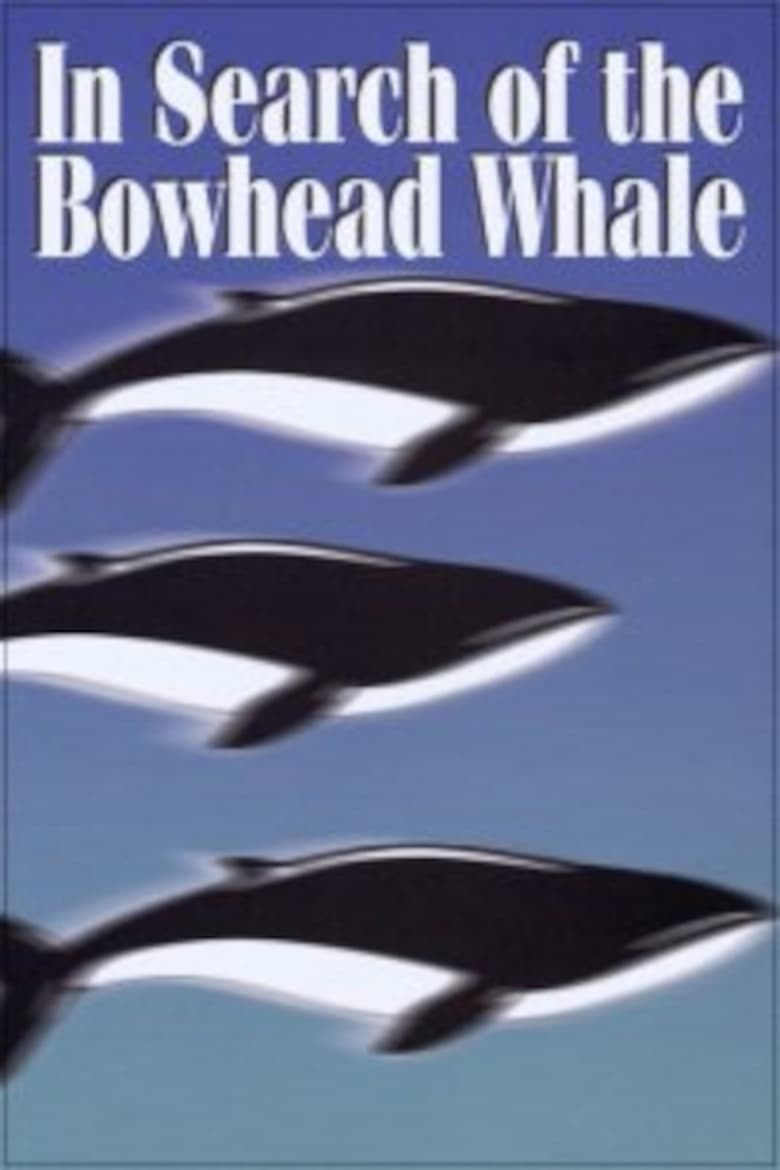 Poster of In Search of the Bowhead Whale