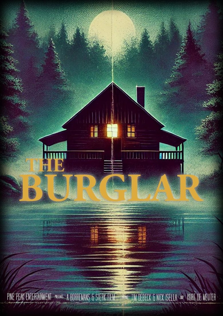 Poster of The Burglar