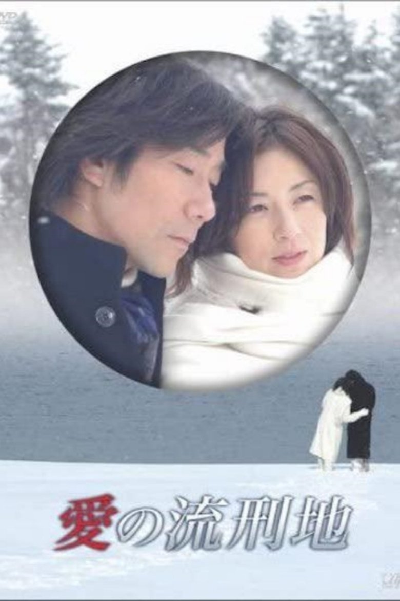 Poster of 愛の流刑地