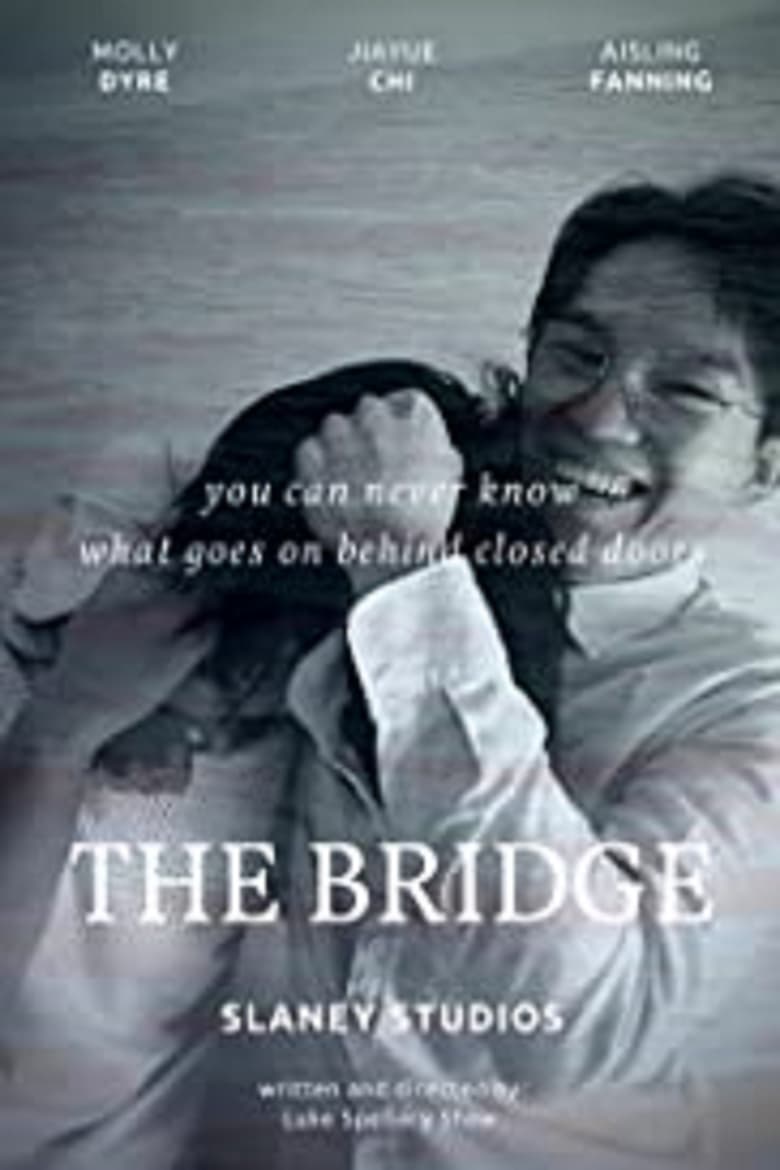 Poster of The Bridge