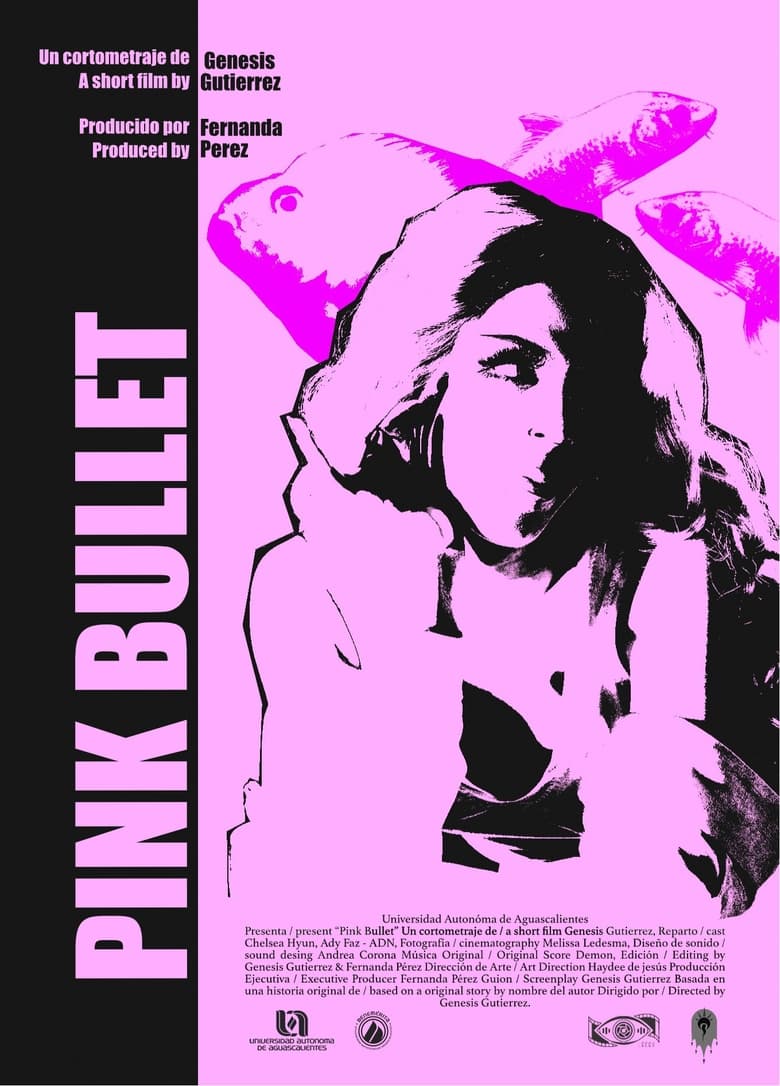 Poster of PINK BULLET