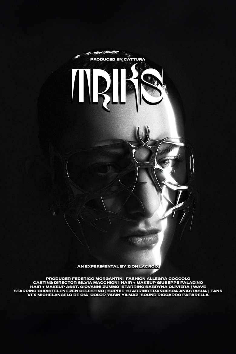 Poster of Triks