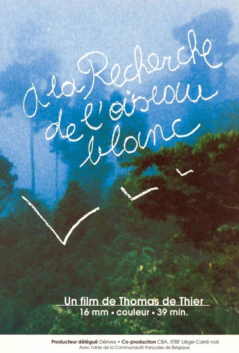 Poster of A la recherche de l'oiseau blanc