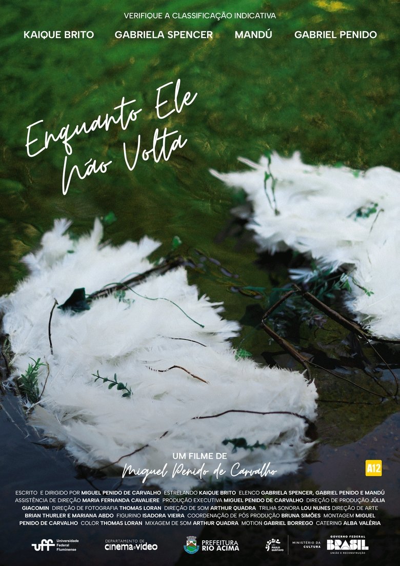 Poster of Enquanto Ele Não Volta