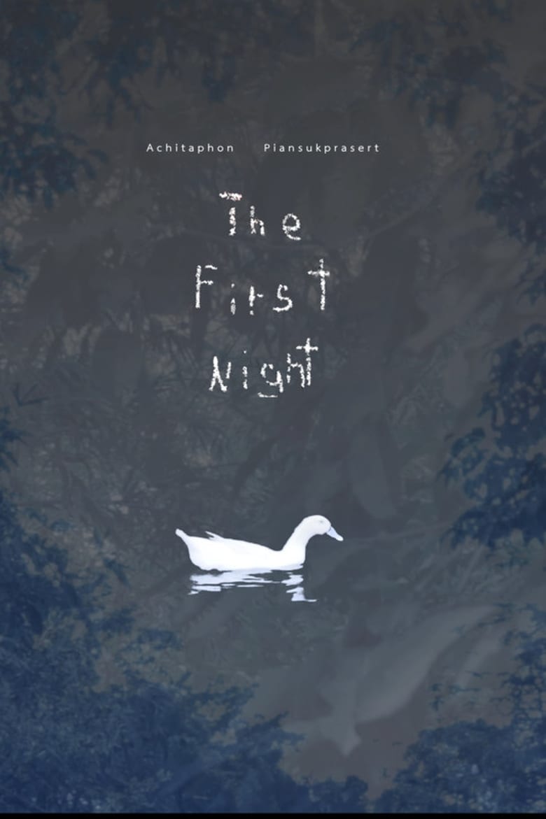 Poster of The First Night