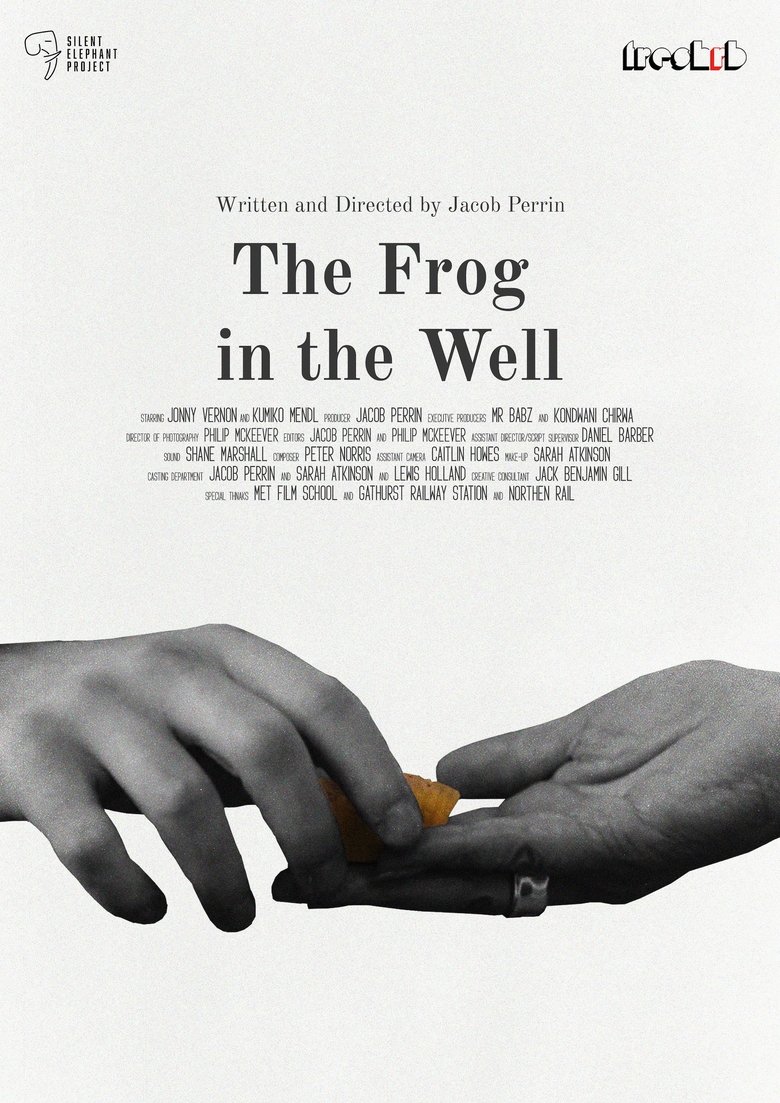Poster of The Frog in The Well