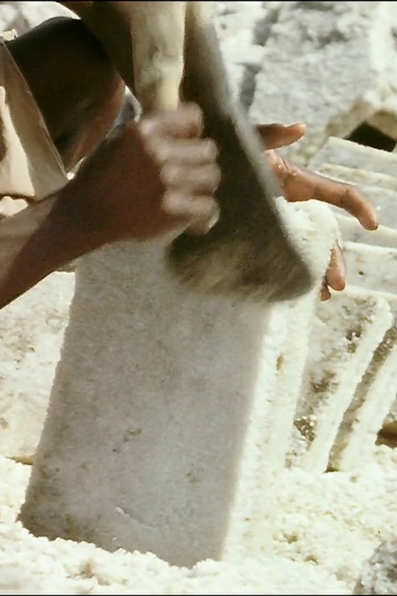 Poster of Salt