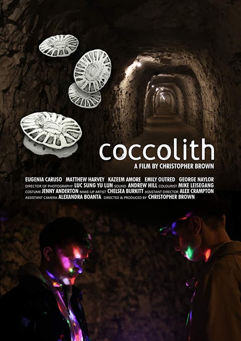 Poster of coccolith