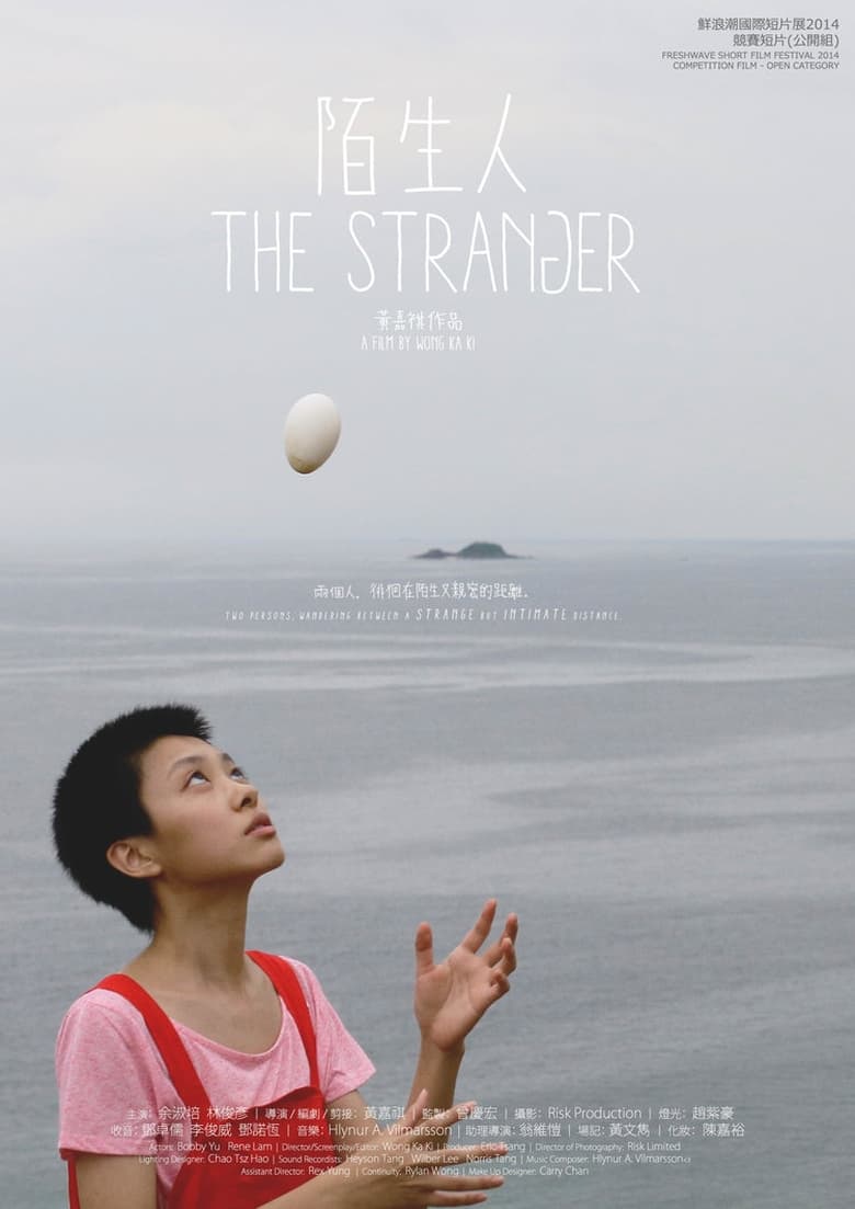 Poster of The Stranger