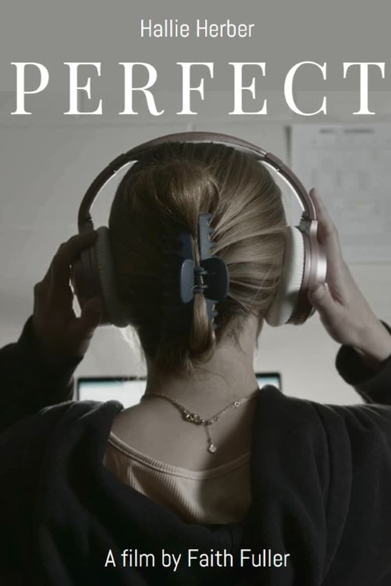 Poster of Perfect