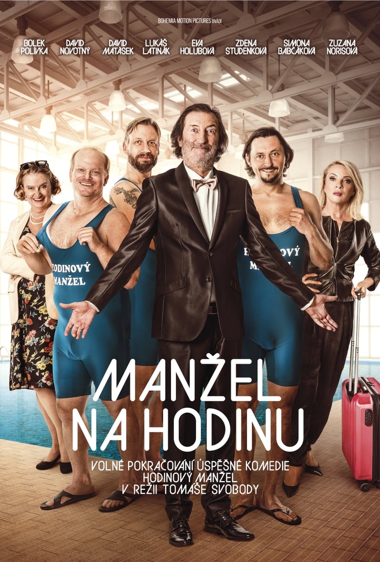 Poster of Manžel na hodinu