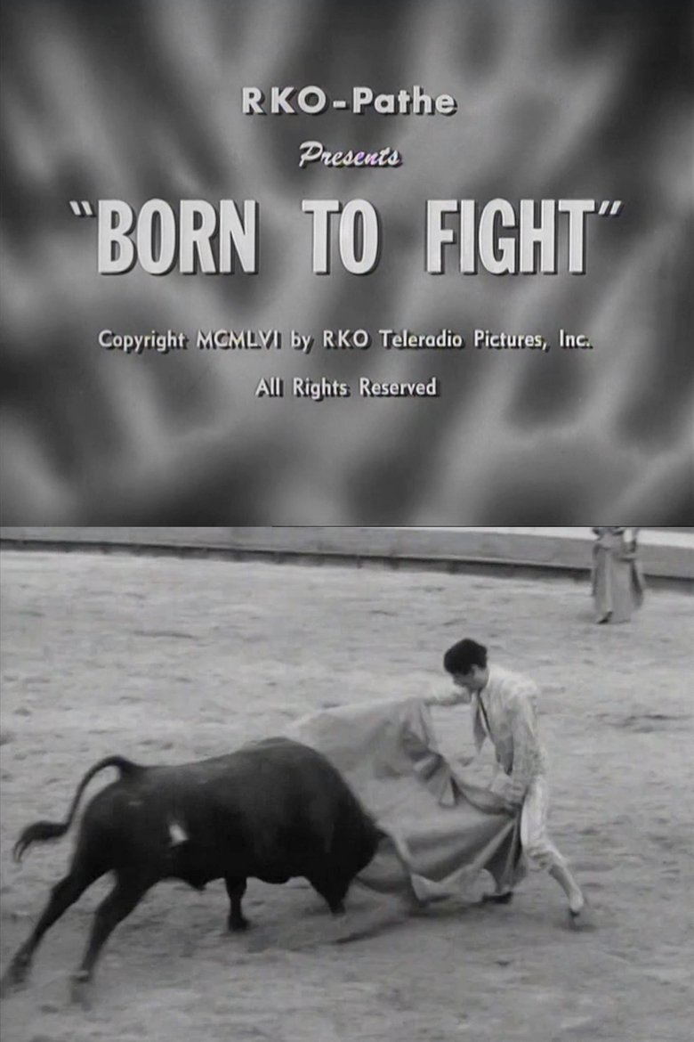 Poster of Born to Fight