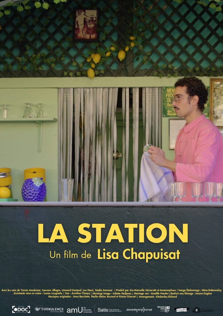 Poster of La station