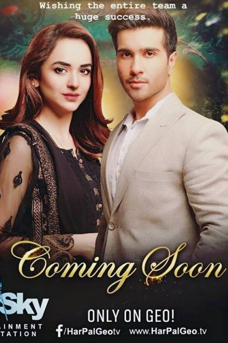 Poster of Dil Kiya Karay