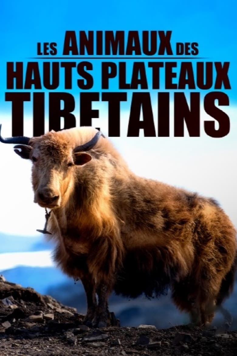 Poster of Les animaux des hauts plateaux tibétains