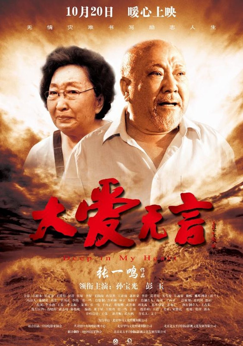 Poster of 大爱无言