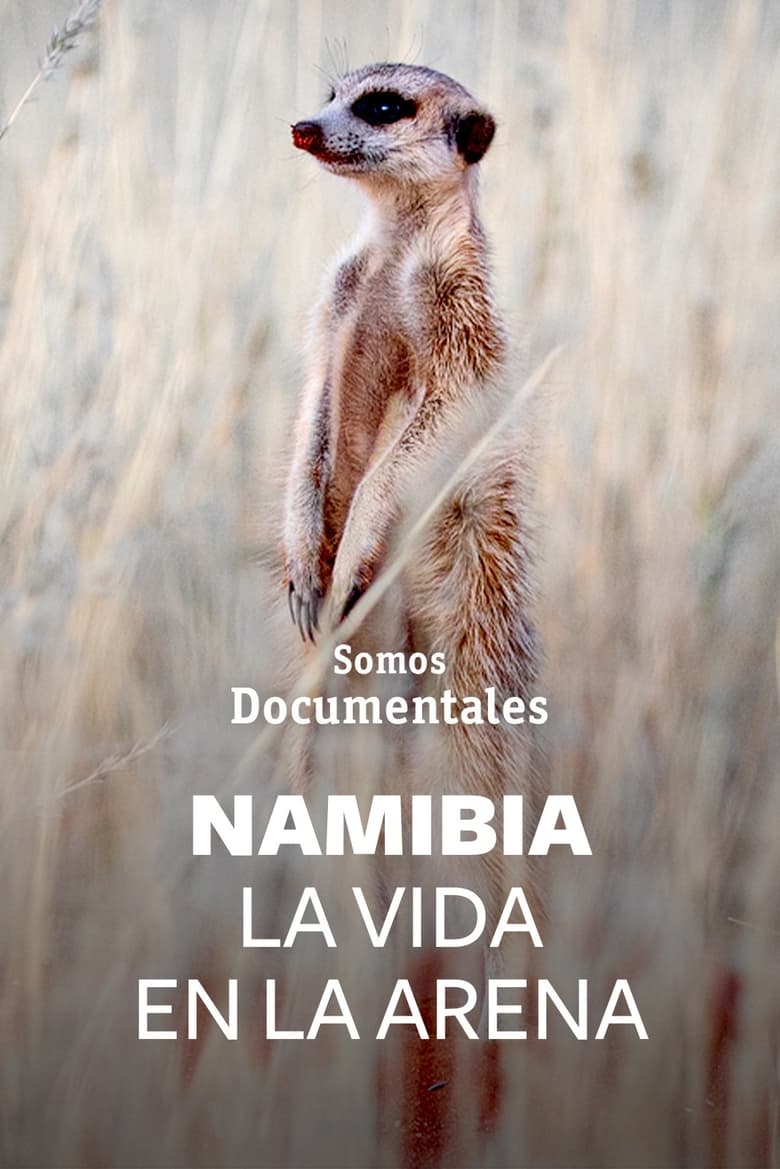 Poster of Namibie, la vie des sables