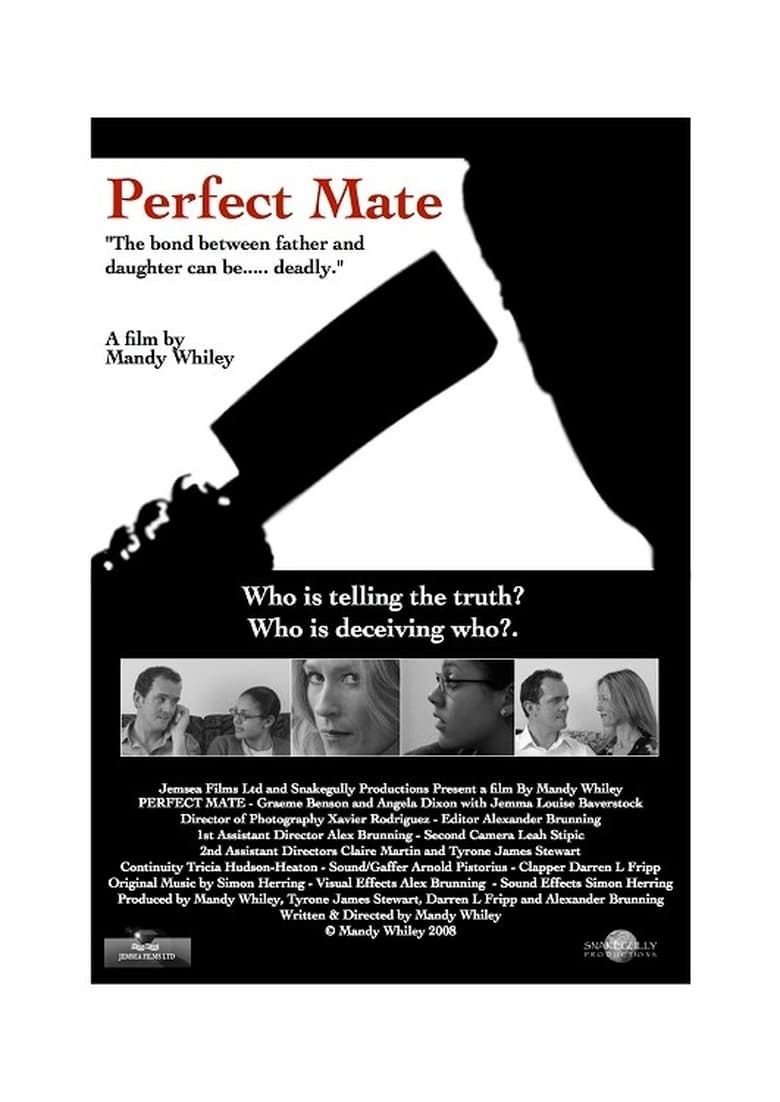 Poster of Perfect Mate