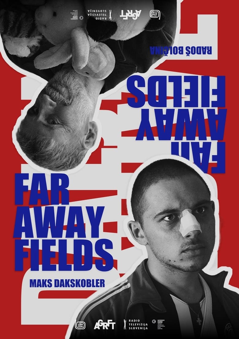 Poster of Faraway Fields