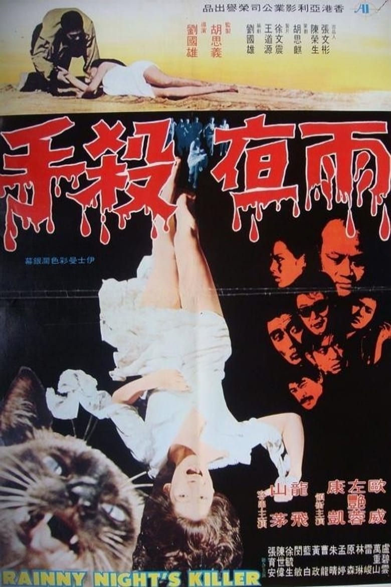 Poster of Rainy Night's Killer