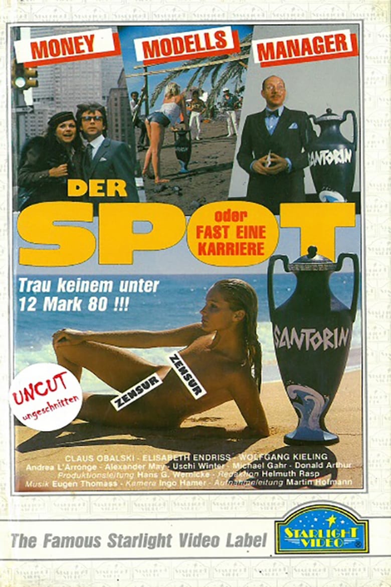 Poster of Der Spot oder Fast eine Karriere