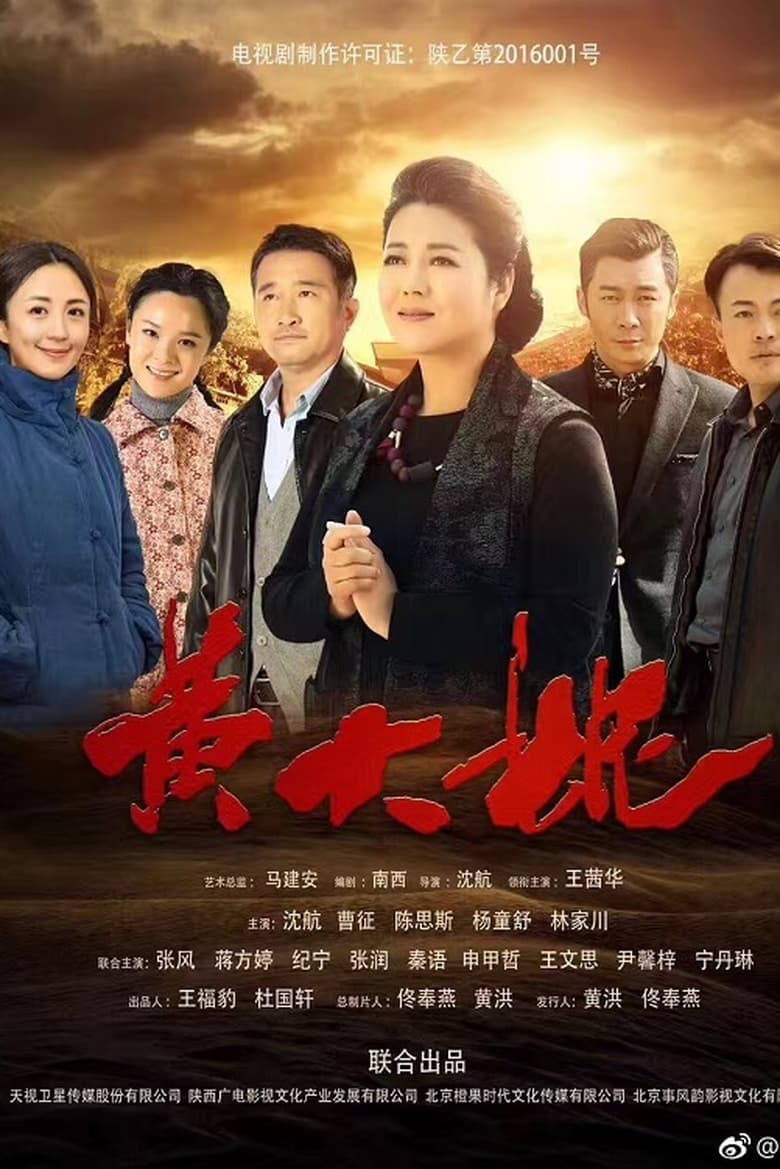 Poster of 黄大妮