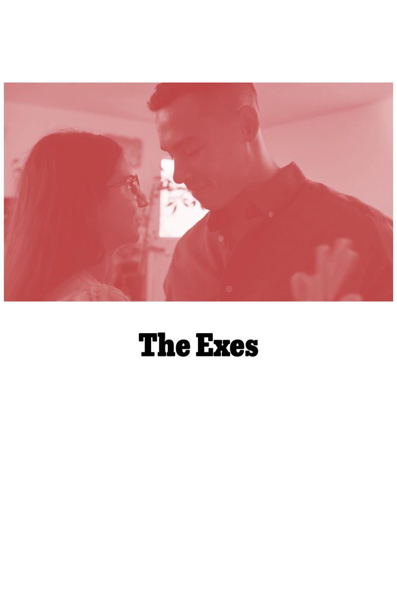 Poster of The Exes