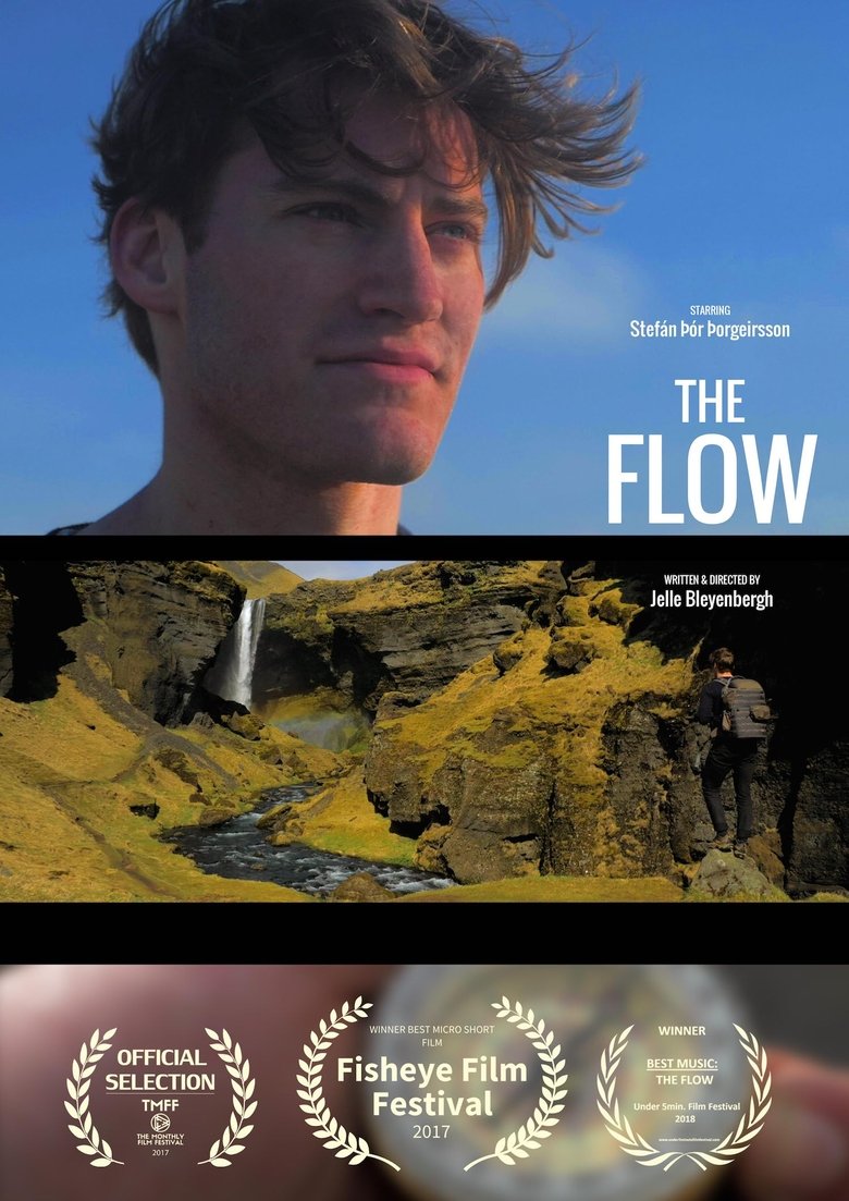 Poster of The Flow
