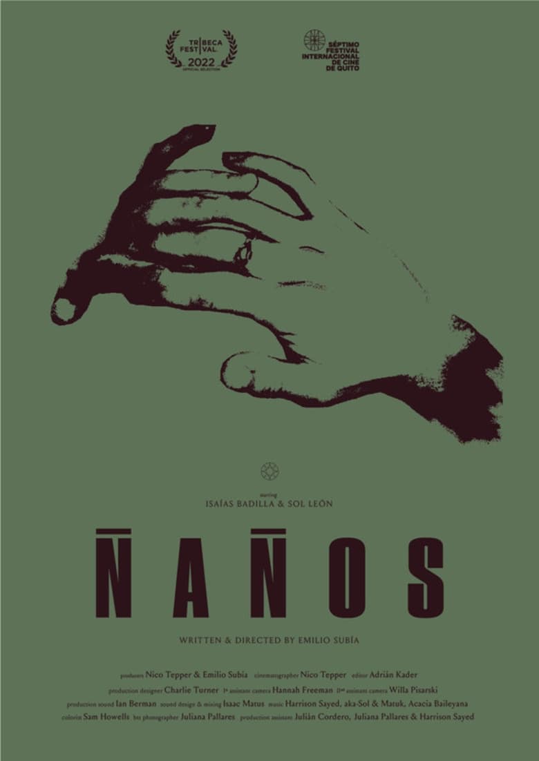 Poster of Ñaños