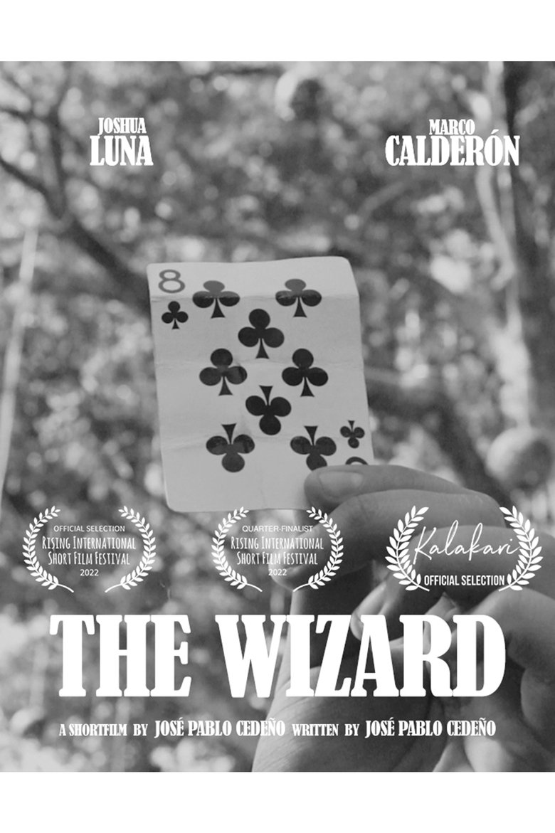 Poster of The Wizard