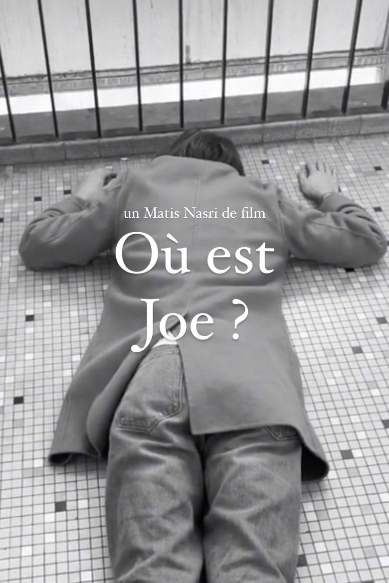 Poster of Où est Joe