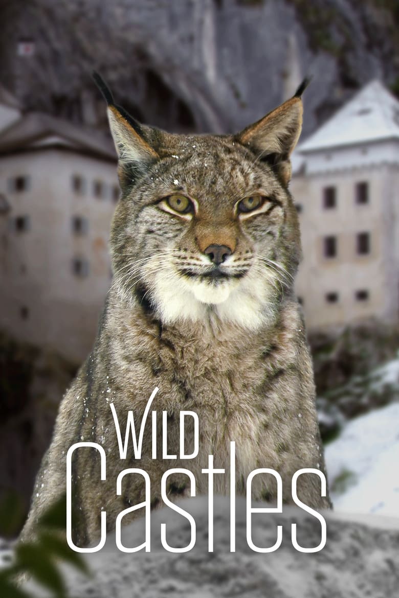 Poster of Wild Castles