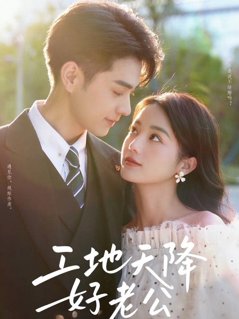 Poster of 工地天降好老公
