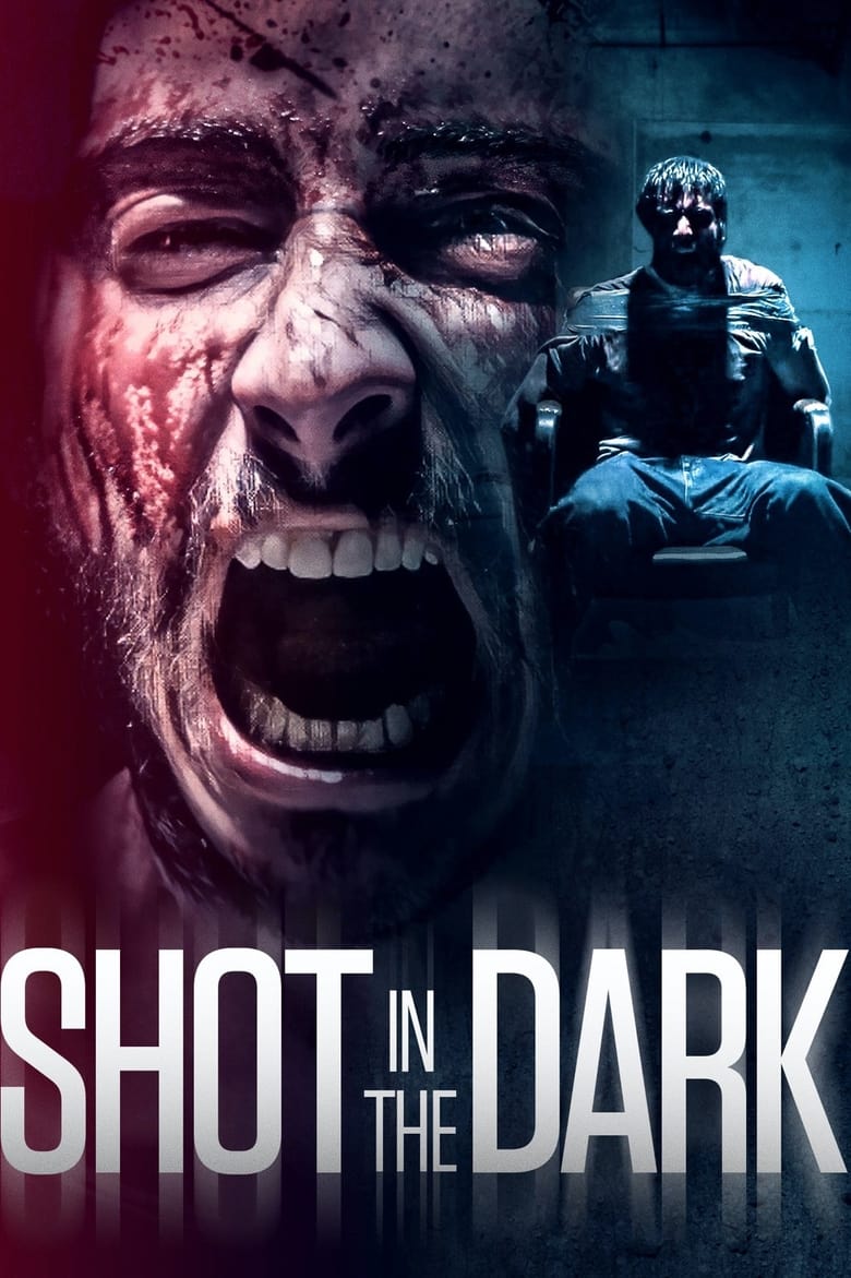 Poster of Shot in the Dark