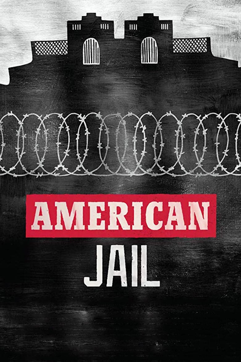 Poster of American Jail