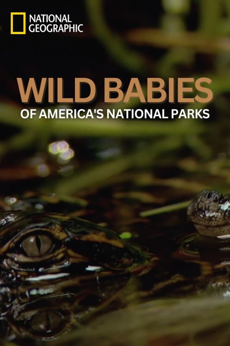 Poster of Wild Babies of America's National Parks