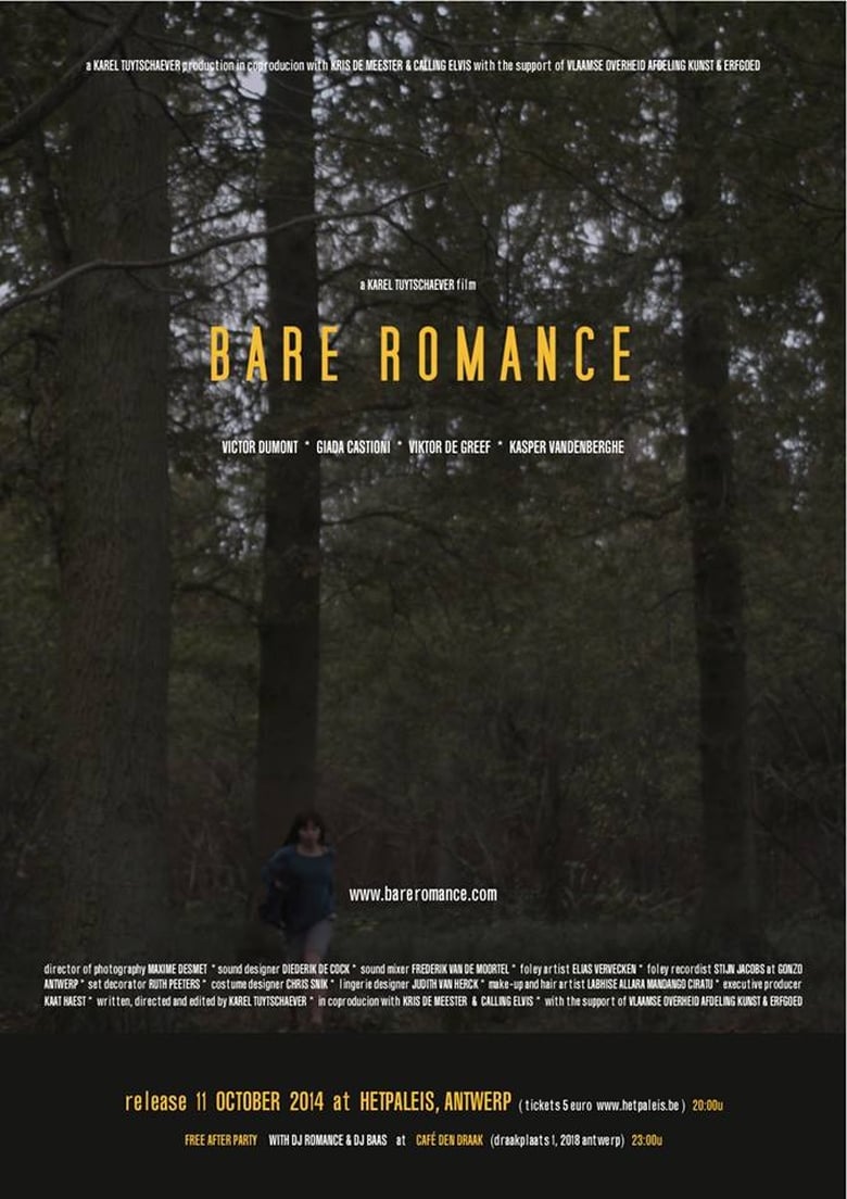 Poster of Bare Romance