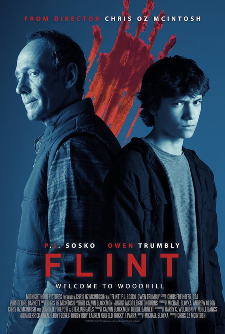 Poster of Flint