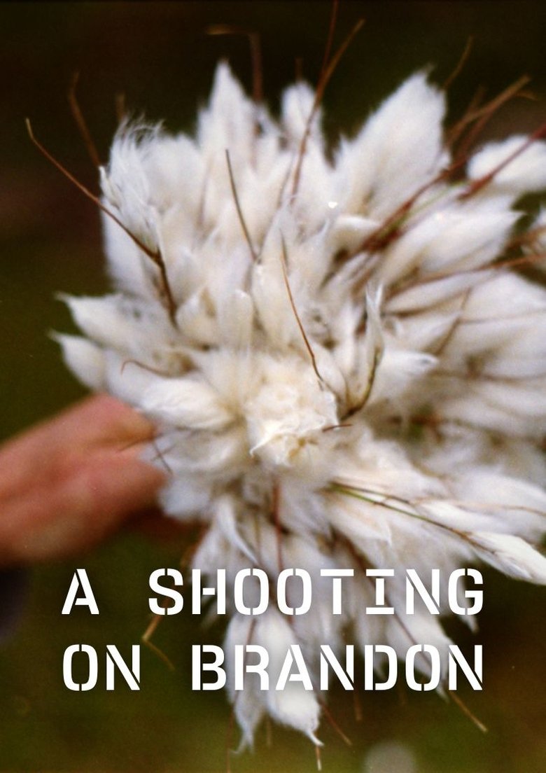 Poster of A Shooting on Brandon