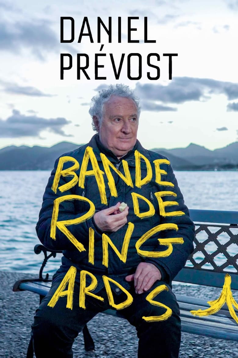 Poster of Daniel Prévost : bande de ringards !