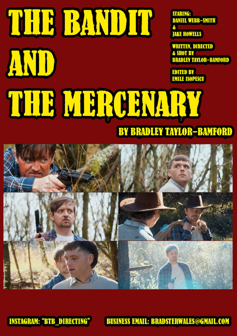 Poster of The Bandit and The Mercenary