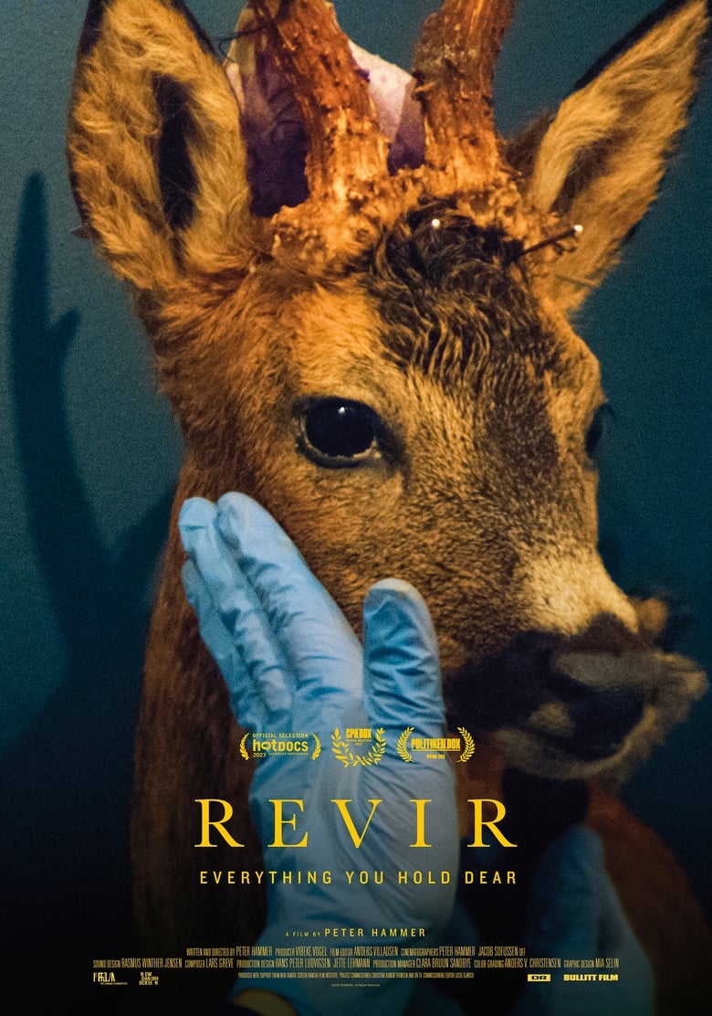 Poster of Revir - Everything You Hold Dear