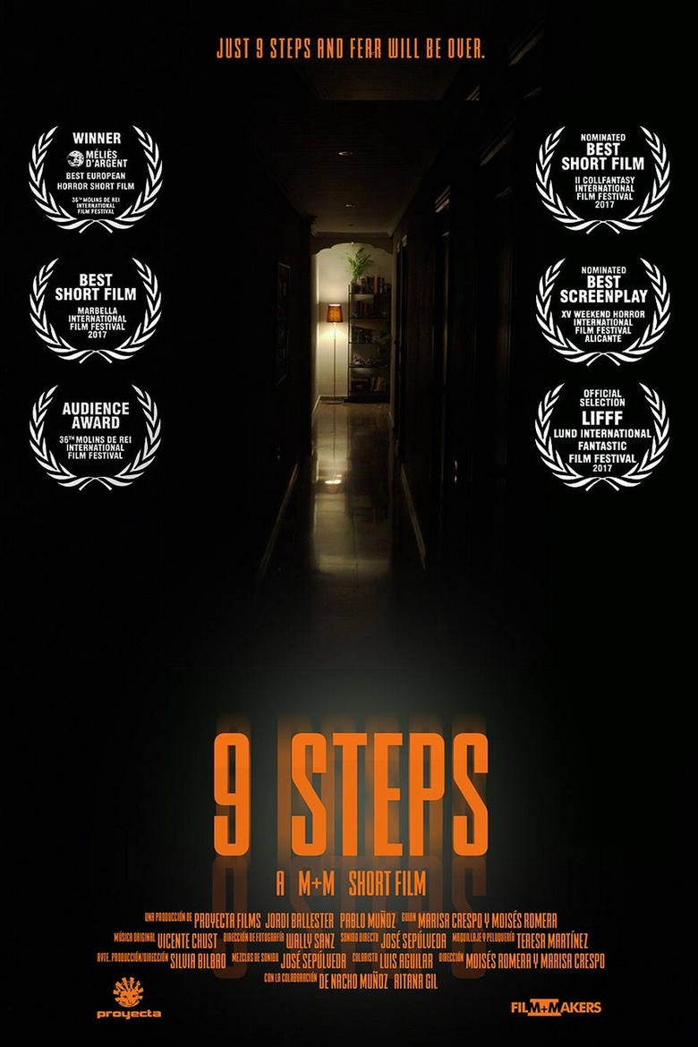 Poster of 9 Steps