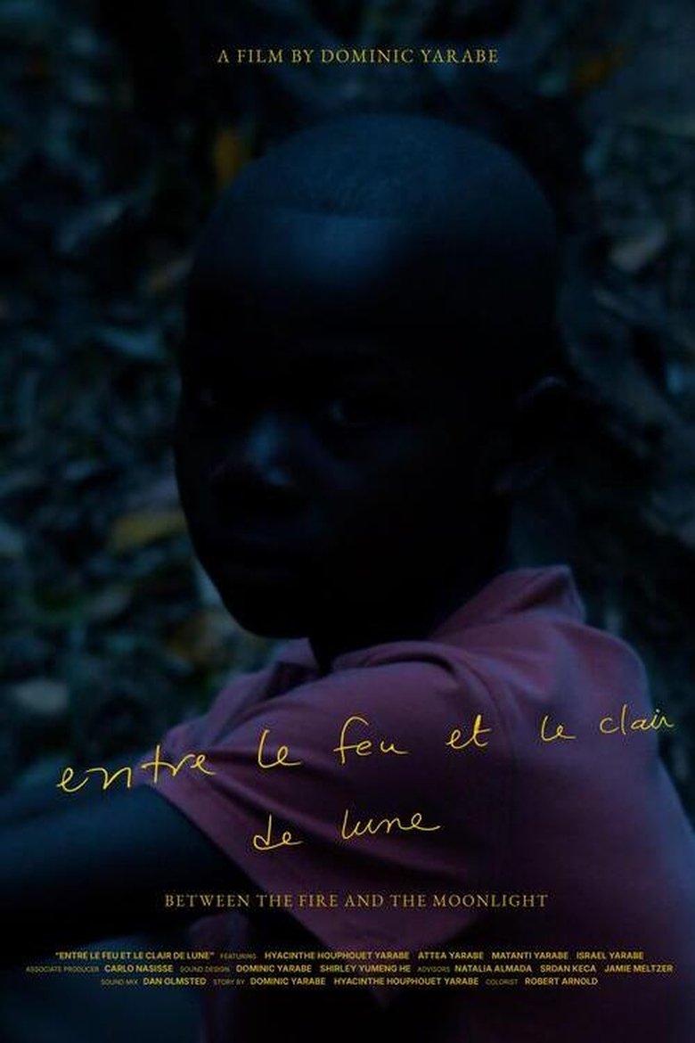 Poster of Between the fire and the moonlight