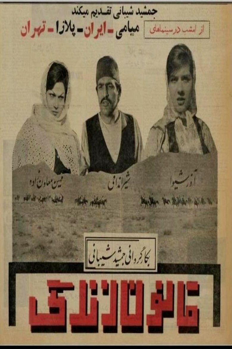 Poster of The Law of Life