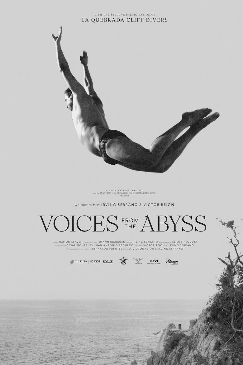 Poster of Voices From The Abyss